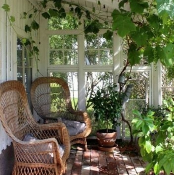 Meet your Posher, Priscilla - Picture 9 of 12